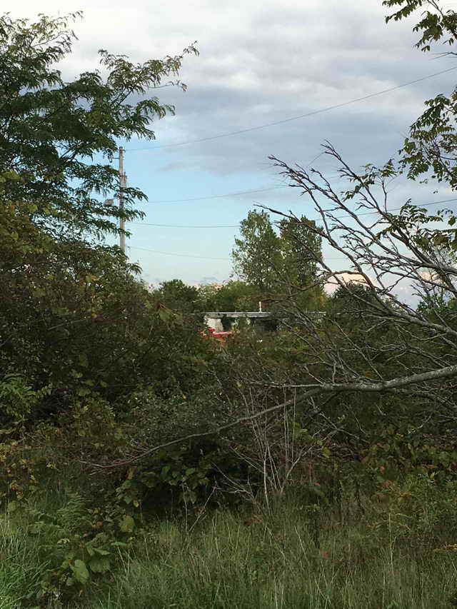 North Twin Drive-In - 2016 Photo (newer photo)